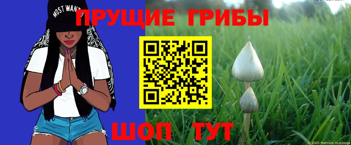 Псилоцибиновые грибы прущие грибы Фурманов