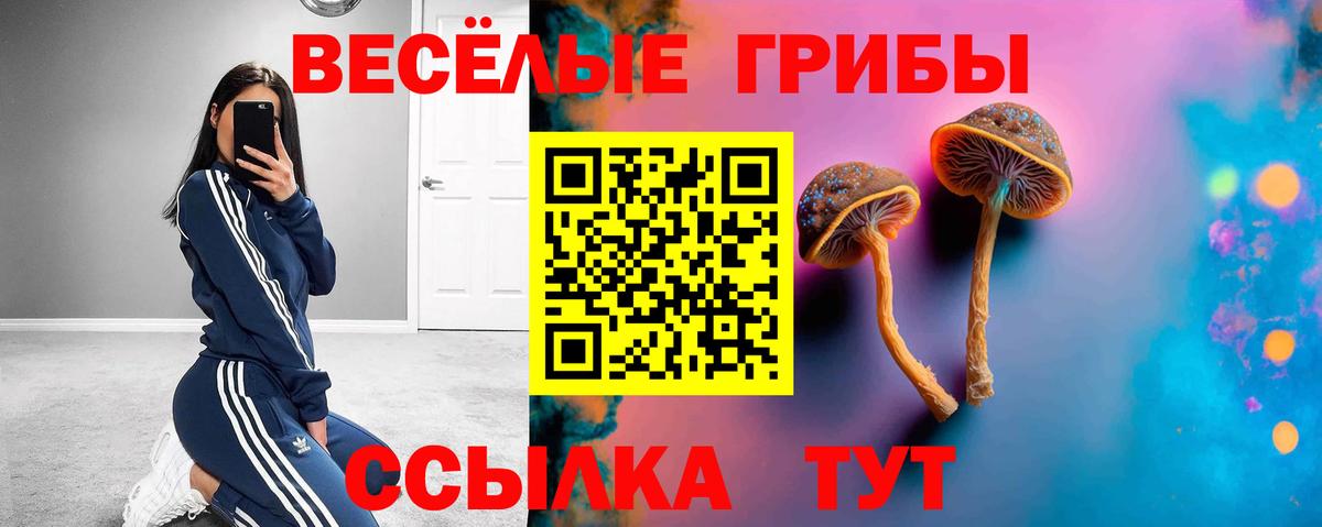 Галлюциногенные грибы мухоморы  Вход с VPN  Фурманов  Галлюциногенные грибы мицелий 